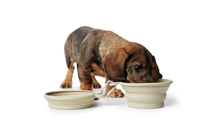 HUNTER Silikon-Reisenapf List